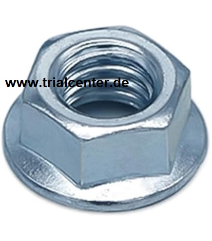 Mutter f&uuml;r Schwingarmachse