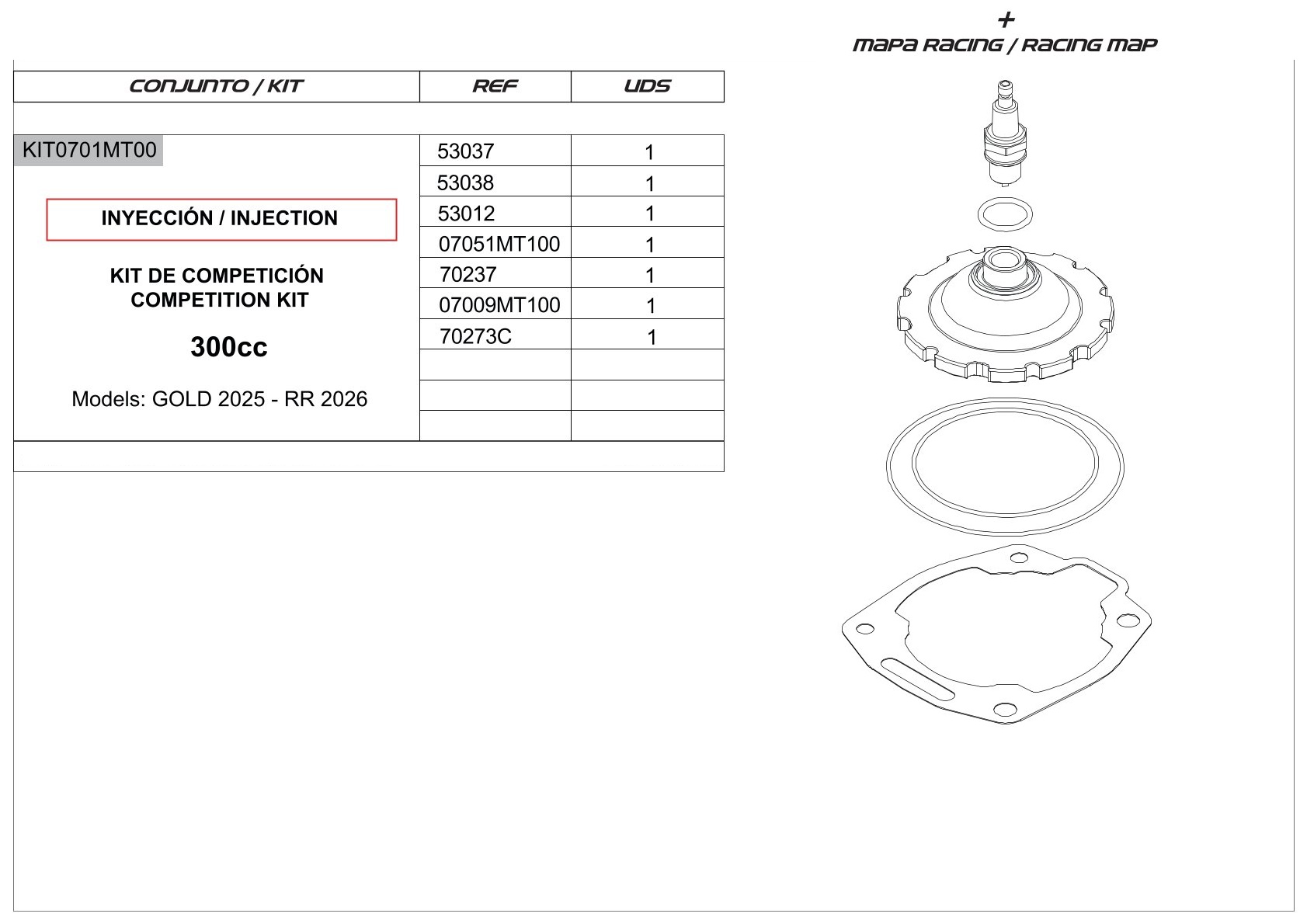 Racing Kit 300ccm Einspritzung
