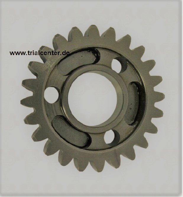 (2.11) Sherco Ritzel