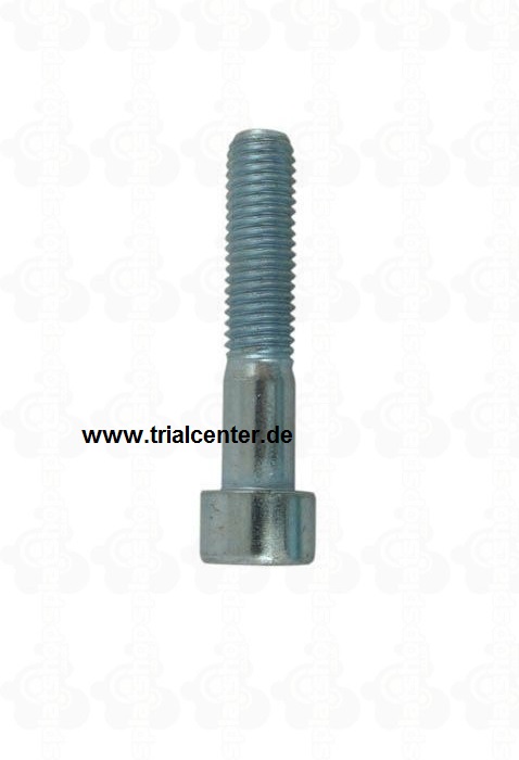 (5) Sherco Schraube alle Modelle