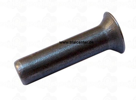 (7.11) Sherco Niet für Kupplungskorb