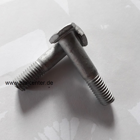 Schraube für Hebelei -Knochen